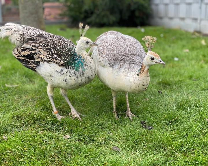 Vogelpark Oberhausen