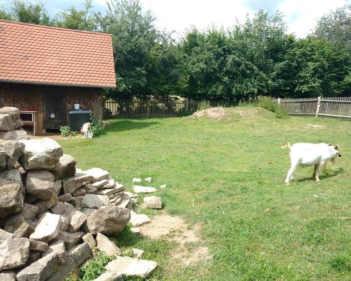 Biergarten Mönchsberg - Zum Forsthaus